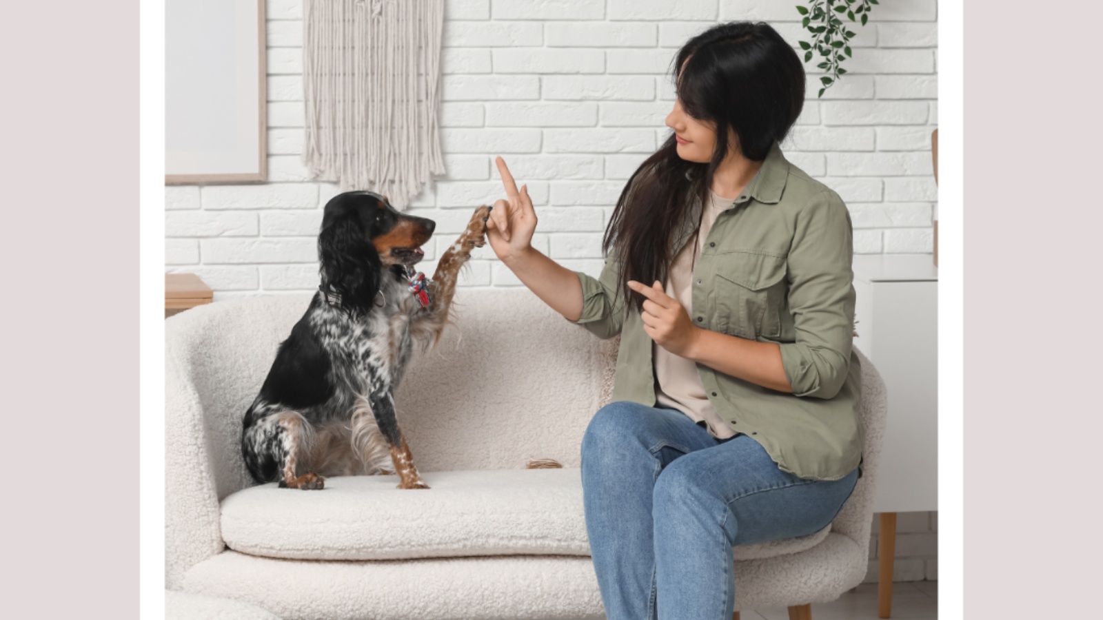 Quality Pet Care starts at Home