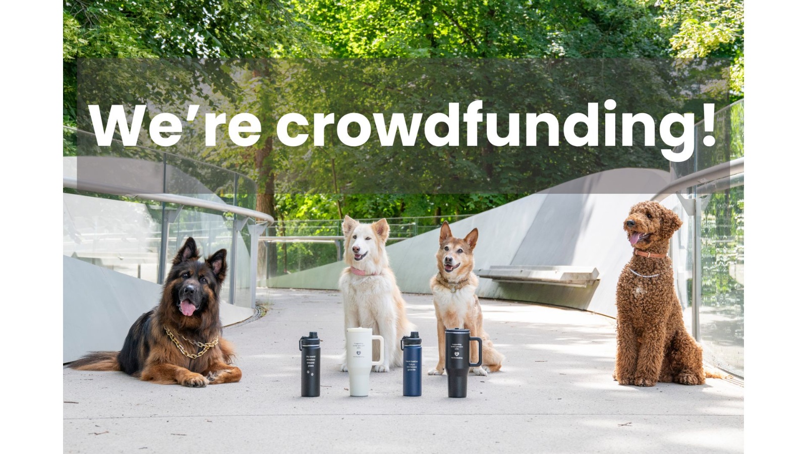 Why we're crowdfunding