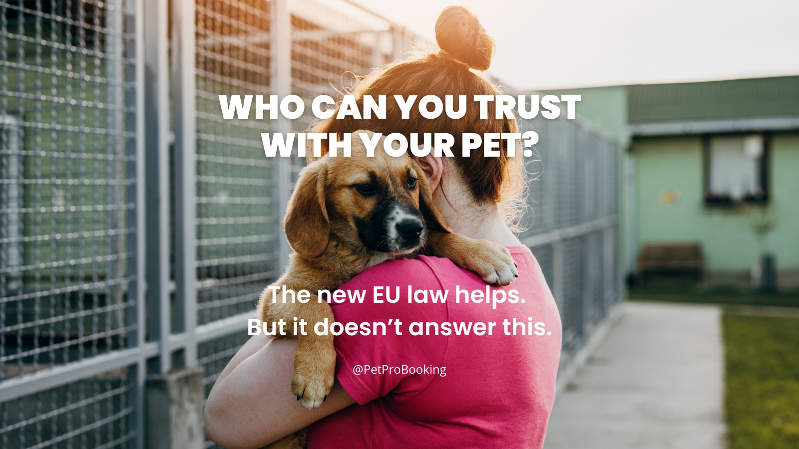 New EU Law on Pet Protection: What It Means for Pet Owners and Professionals