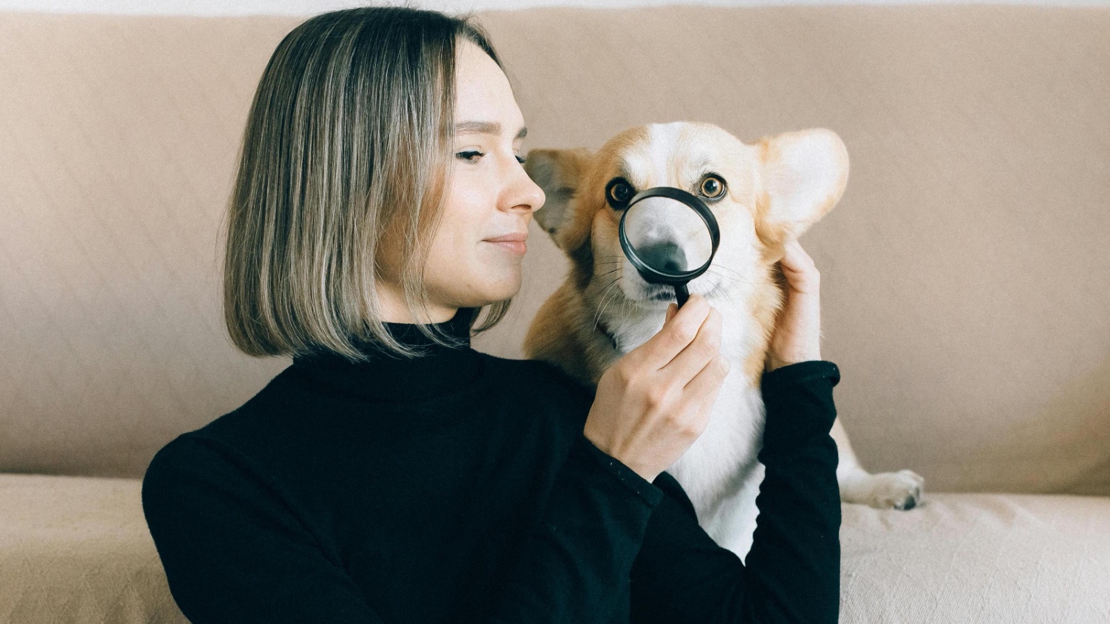 Find Trusted Pet Professionals with Pet Pro Booking