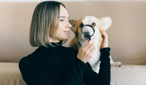 Refer a Professional