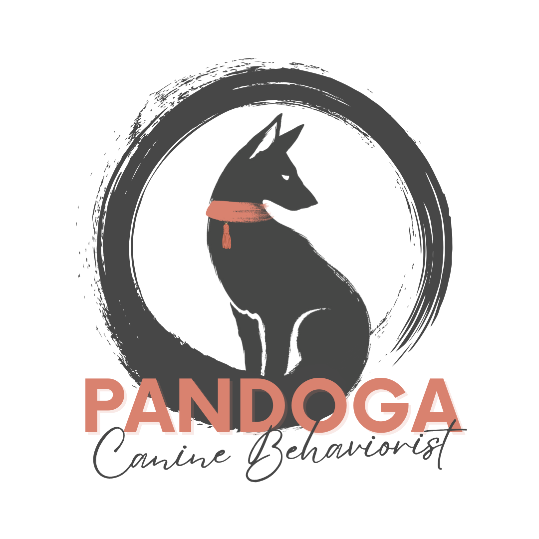 Pandoga